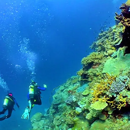 V4, Jardins Branqueira9 Near Beach, Αλμπουφέιρα