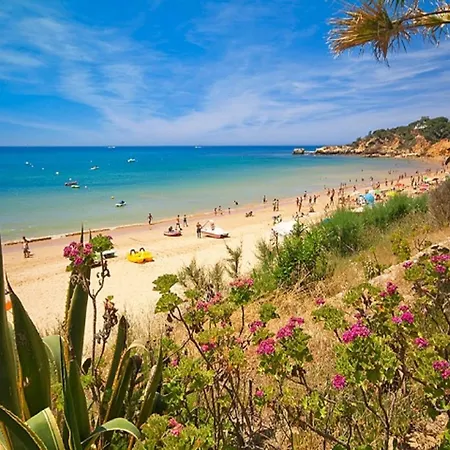 V4, Jardins Branqueira9 Near Beach, Villa