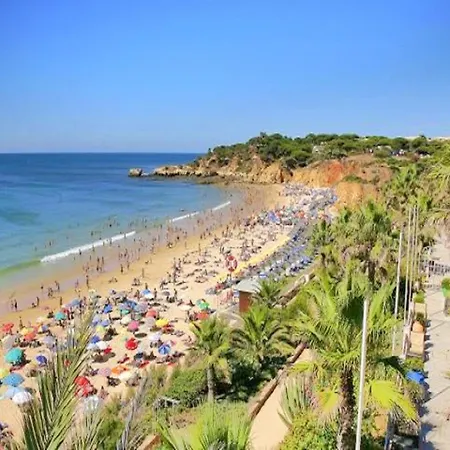 V4, Jardins Branqueira9 Near Beach, Βίλα Αλμπουφέιρα